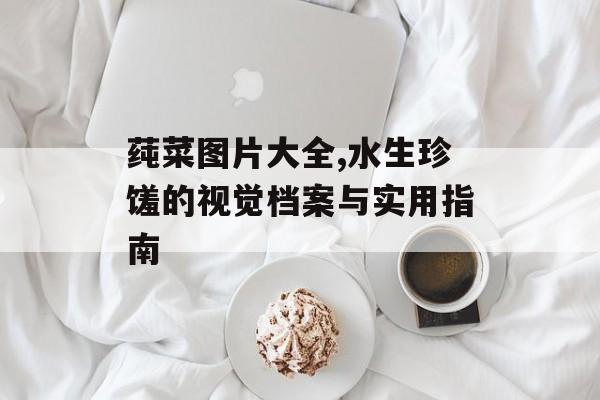 莼菜图片大全,水生珍馐的视觉档案与实用指南-第1张图片-