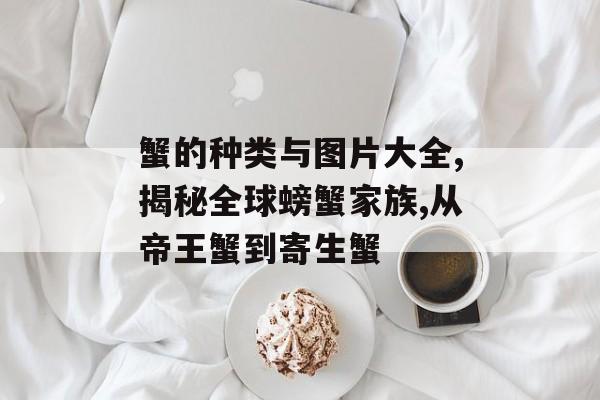 蟹的种类与图片大全,揭秘全球螃蟹家族,从帝王蟹到寄生蟹-第1张图片-