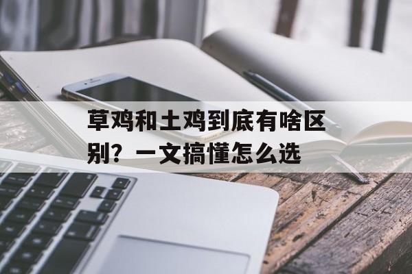 草鸡和土鸡到底有啥区别？一文搞懂怎么选-第1张图片-