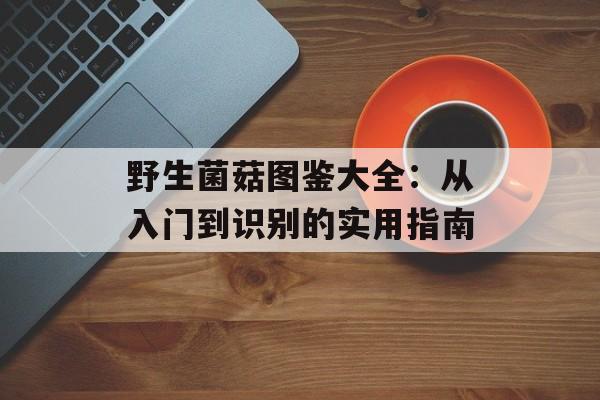 野生菌菇图鉴大全：从入门到识别的实用指南-第1张图片-