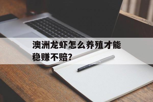 澳洲龙虾怎么养殖才能稳赚不赔?-第1张图片- 澳洲龙虾怎么养殖才能稳赚不赔?-第1张图片-