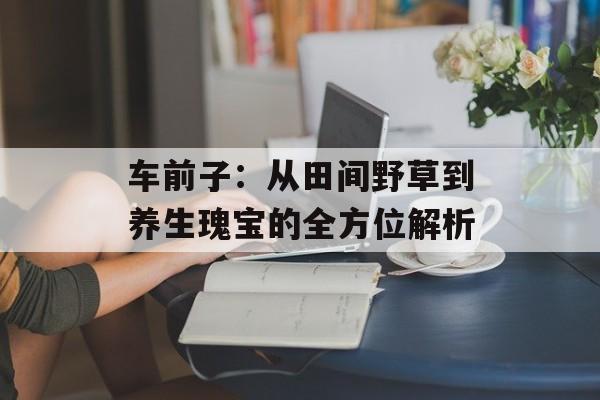 车前子：从田间野草到养生瑰宝的全方位解析-第1张图片-