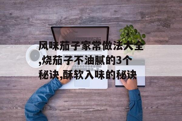 风味茄子家常做法大全,烧茄子不油腻的3个秘诀,酥软入味的秘诀-第1张图片-