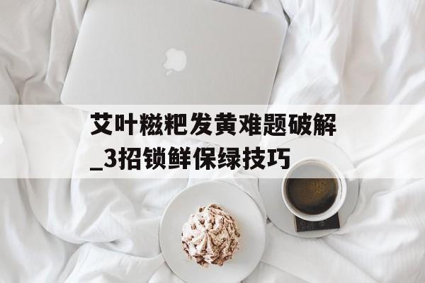 艾叶糍粑发黄难题破解_3招锁鲜保绿技巧-第1张图片-