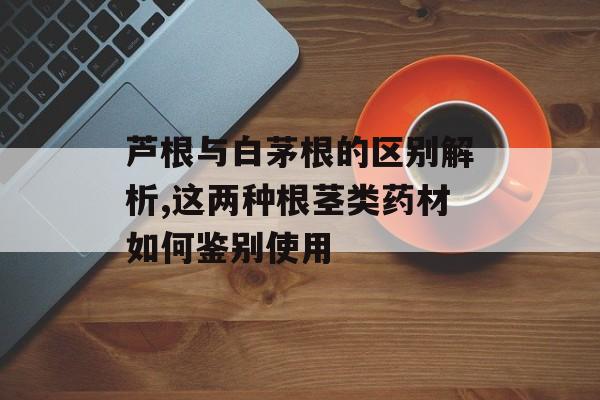 芦根与白茅根的区别解析,这两种根茎类药材如何鉴别使用-第1张图片-