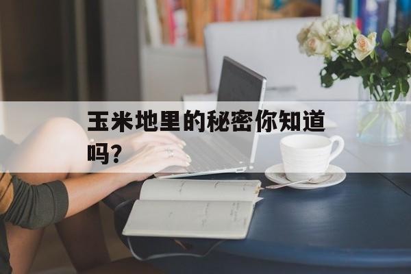 玉米地里的秘密你知道吗？-第1张图片-