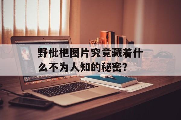 野枇杷图片究竟藏着什么不为人知的秘密?-第1张图片- 野枇杷图片究竟藏着什么不为人知的秘密?-第1张图片-