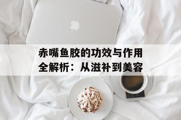 赤嘴鱼胶的功效与作用全解析:从滋补到美容-第1张图片- 赤嘴鱼胶的功效与作用全解析:从滋补到美容-第1张图片-