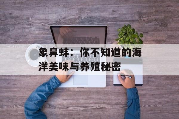 象鼻蚌：你不知道的海洋美味与养殖秘密-第1张图片-