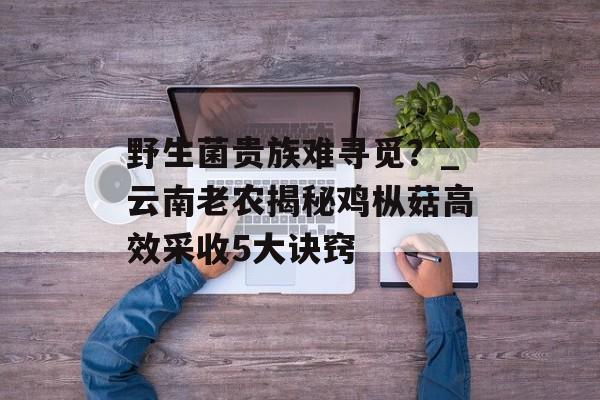 野生菌贵族难寻觅？_云南老农揭秘鸡枞菇高效采收5大诀窍-第1张图片-