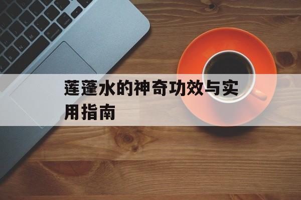 莲蓬水的神奇功效与实用指南-第1张图片-
