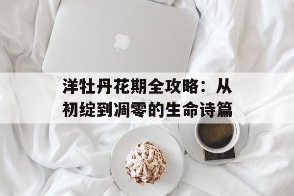 洋牡丹花期全攻略：从初绽到凋零的生命诗篇-第1张图片-
