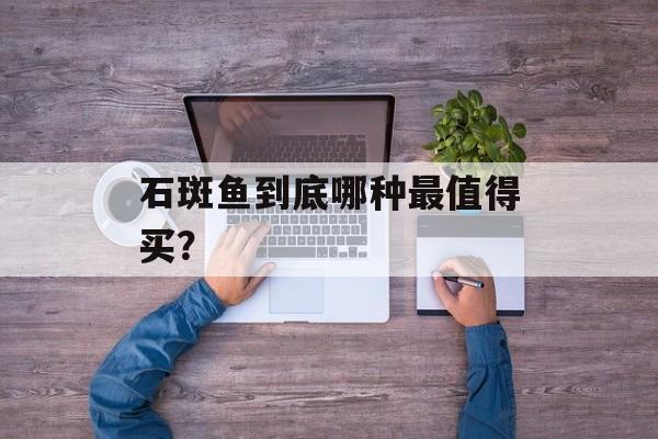 石斑鱼到底哪种最值得买？-第1张图片-