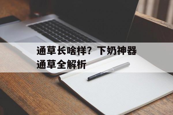 通草长啥样？下奶神器通草全解析-第1张图片-
