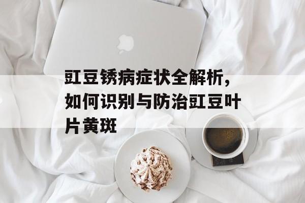 豇豆锈病症状全解析,如何识别与防治豇豆叶片黄斑-第1张图片-