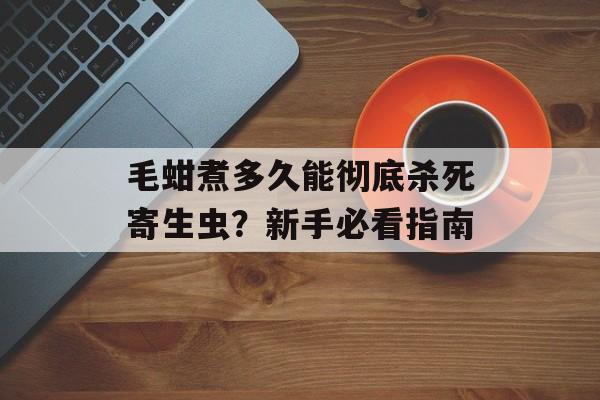 毛蚶煮多久能彻底杀死寄生虫？新手必看指南-第1张图片-