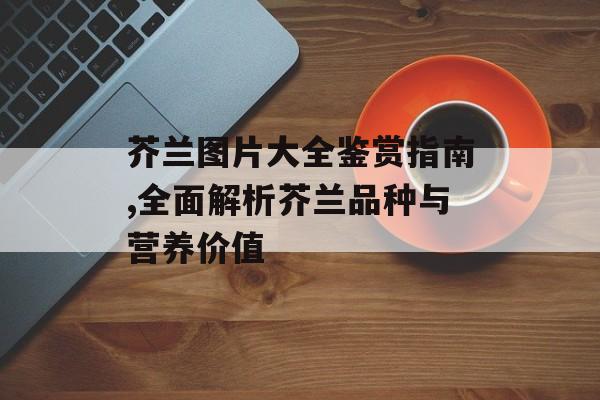 芥兰图片大全鉴赏指南,全面解析芥兰品种与营养价值-第1张图片-