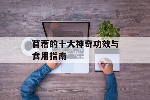 苜蓿的十大神奇功效与食用指南-第1张图片-