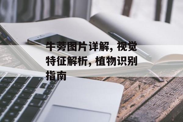 牛蒡图片详解, 视觉特征解析, 植物识别指南-第1张图片- 牛蒡图片详解, 视觉特征解析, 植物识别指南-第1张图片-