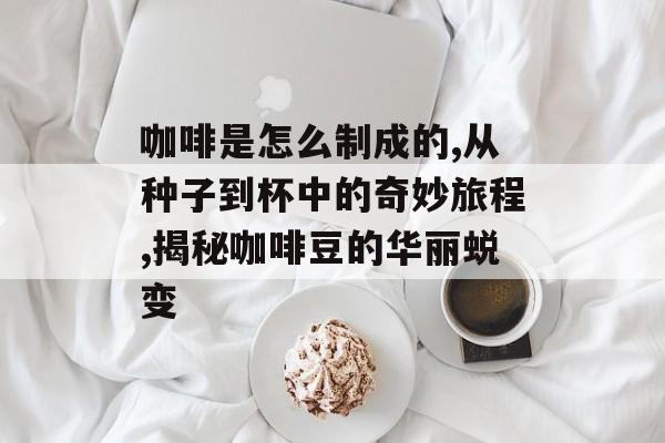 咖啡是怎么制成的,从种子到杯中的奇妙旅程,揭秘咖啡豆的华丽蜕变-第1张图片-