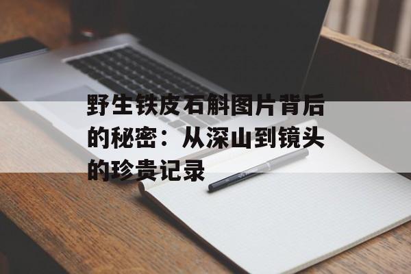 野生铁皮石斛图片背后的秘密：从深山到镜头的珍贵记录-第1张图片-