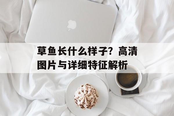 草鱼长什么样子？高清图片与详细特征解析-第1张图片-