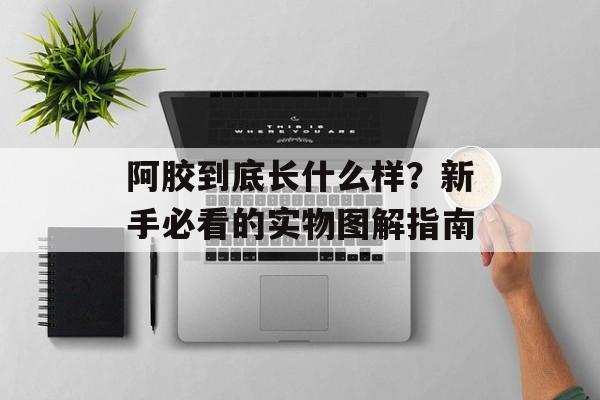阿胶到底长什么样？新手必看的实物图解指南-第1张图片-