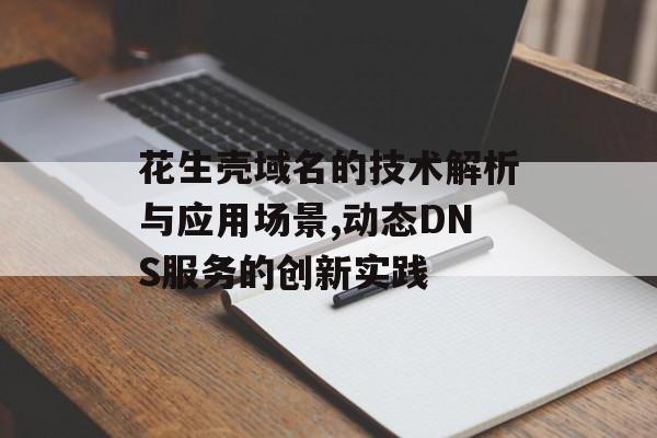 花生壳域名的技术解析与应用场景,动态DNS服务的创新实践-第1张图片-