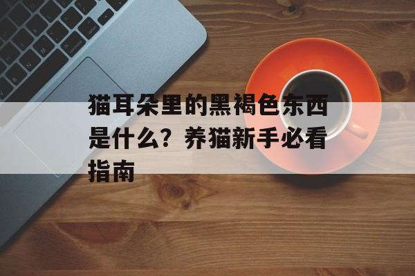 猫耳朵里的黑褐色东西是什么？养猫新手必看指南-第1张图片-