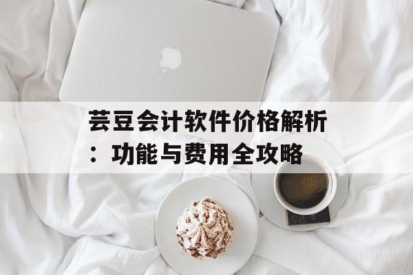 芸豆会计软件价格解析：功能与费用全攻略-第1张图片-