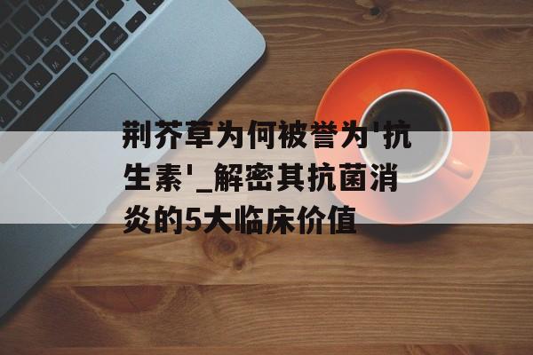 荆芥草为何被誉为'抗生素'_解密其抗菌消炎的5大临床价值-第1张图片-