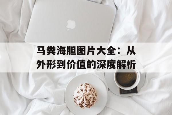 马粪海胆图片大全：从外形到价值的深度解析-第1张图片-