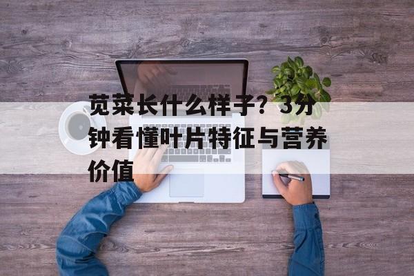 苋菜长什么样子?3分钟看懂叶片特征与营养价值-第1张图片- 苋菜长什么样子?3分钟看懂叶片特征与营养价值-第1张图片-