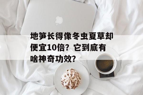 地笋长得像冬虫夏草却便宜10倍？它到底有啥神奇功效？-第1张图片-