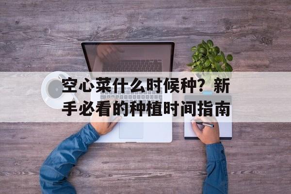 空心菜什么时候种？新手必看的种植时间指南-第1张图片-