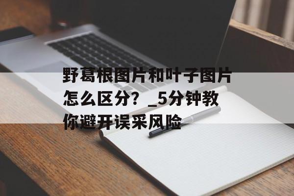 野葛根图片和叶子图片怎么区分？_5分钟教你避开误采风险-第1张图片-