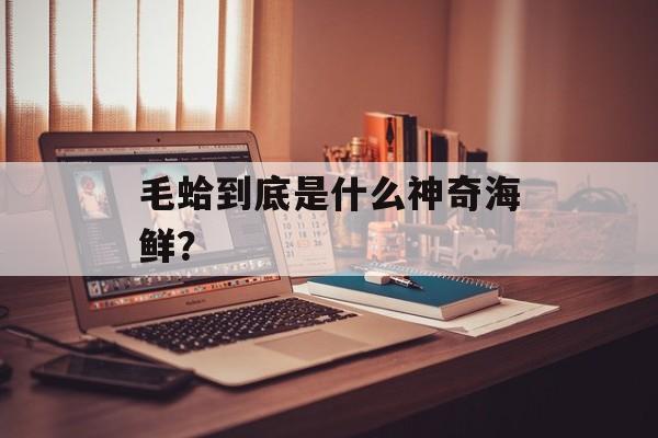毛蛤到底是什么神奇海鲜？-第1张图片-