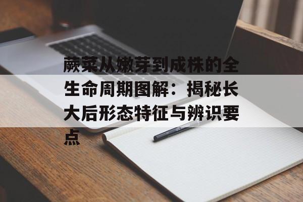 蕨菜从嫩芽到成株的全生命周期图解：揭秘长大后形态特征与辨识要点-第1张图片-