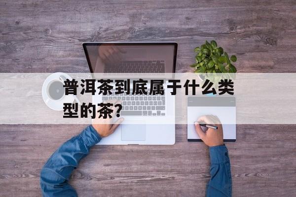 普洱茶到底属于什么类型的茶？-第1张图片-