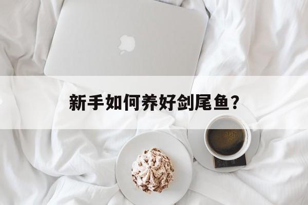 新手如何养好剑尾鱼？-第1张图片-