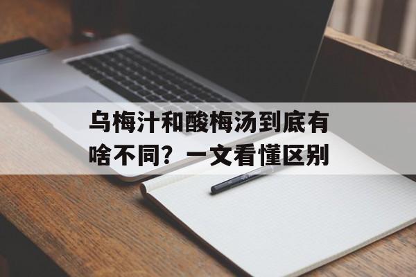 乌梅汁和酸梅汤到底有啥不同？一文看懂区别-第1张图片-