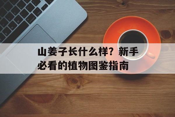 山姜子长什么样？新手必看的植物图鉴指南-第1张图片-